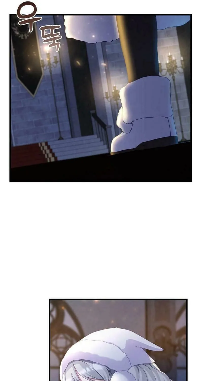 The Saintess Became the Northern Grand Duke’s Daughter Chapter 4 page 47 - 