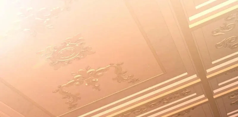 The Saintess Became the Northern Grand Duke’s Daughter Chapter 50 page 60 - 