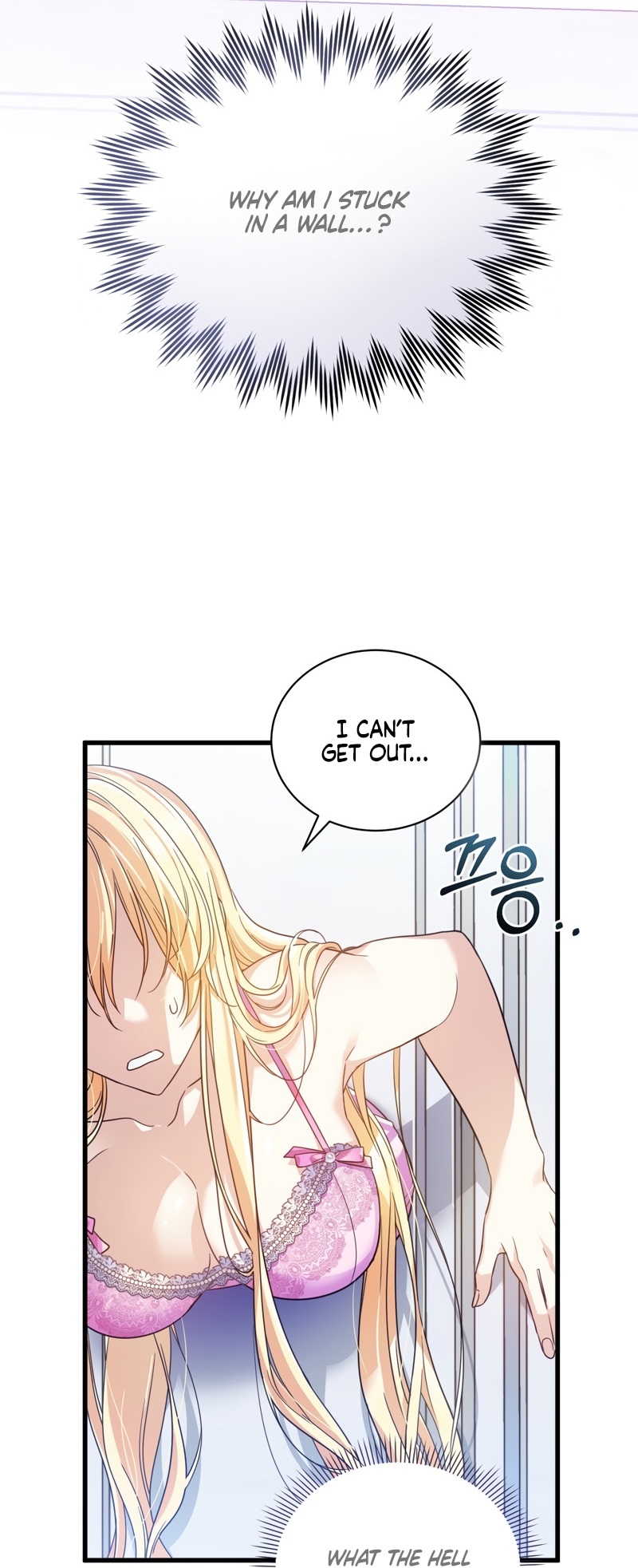 The saintess got stuck in the Wall!!  Chapter 1 page 47 - 