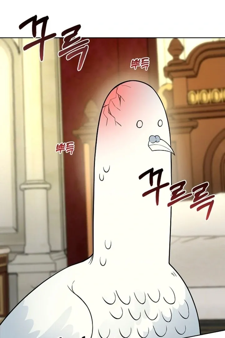 The Saintess
