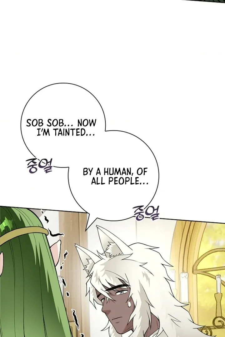 The Saintess