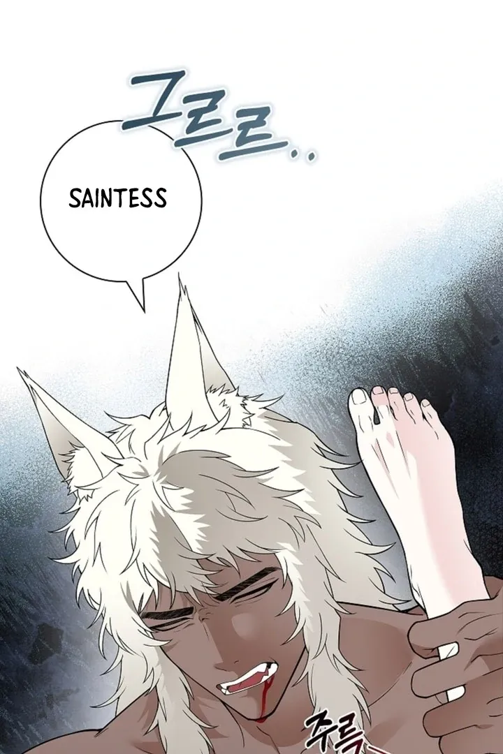 The Saintess