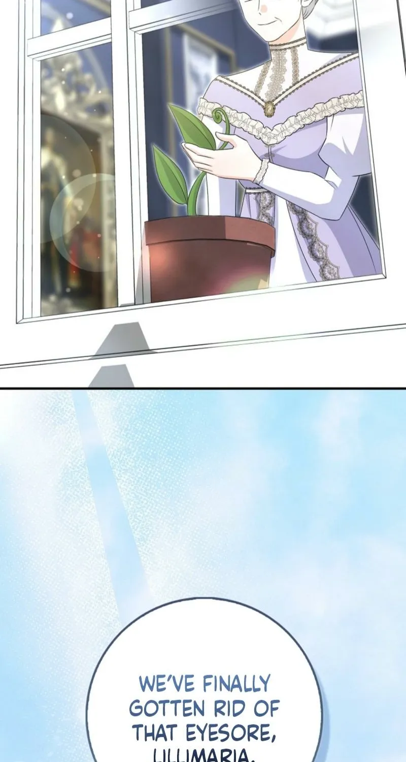 The Savior