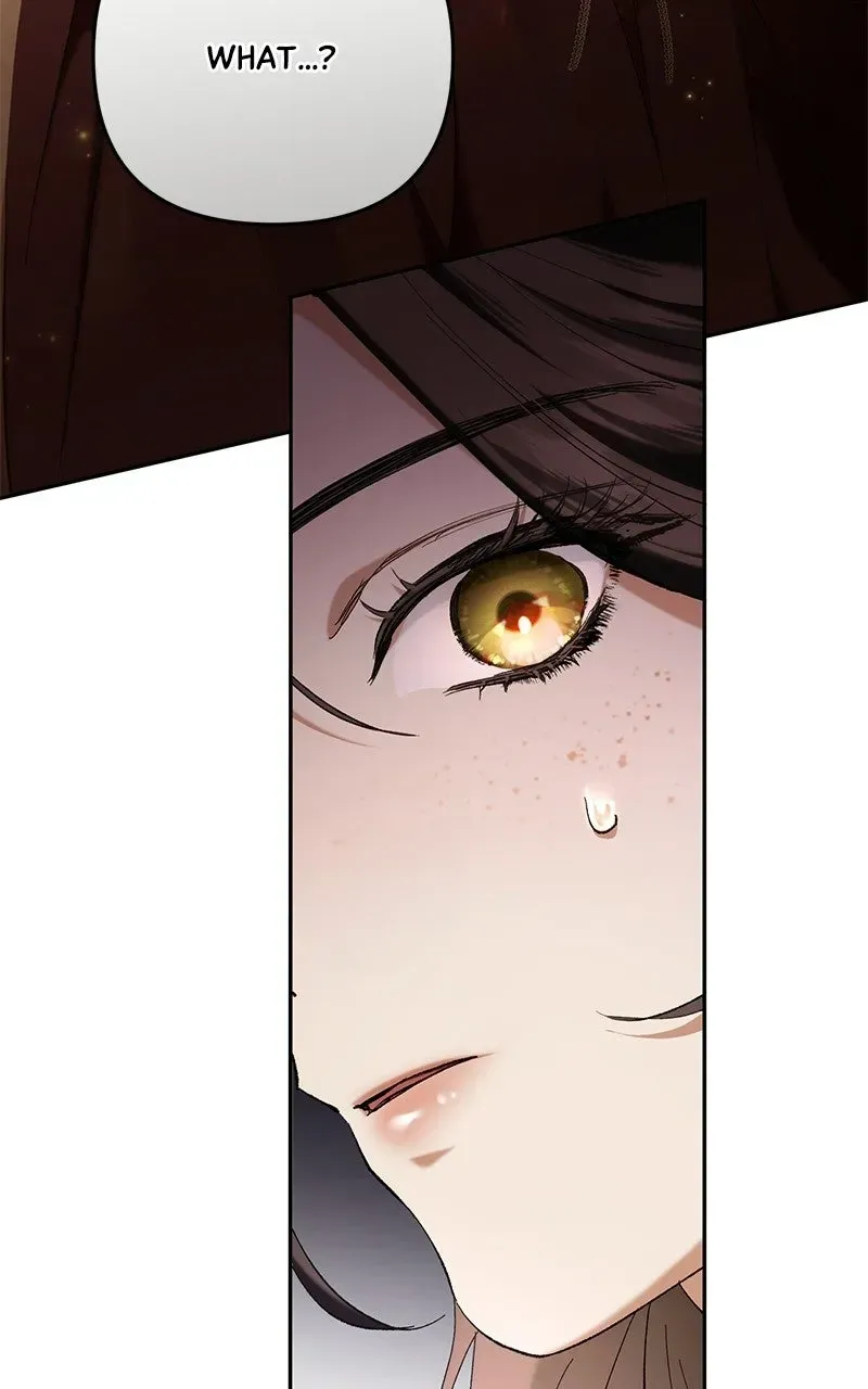 The Scandal MakerHas Returned Chapter 1 page 71 - 