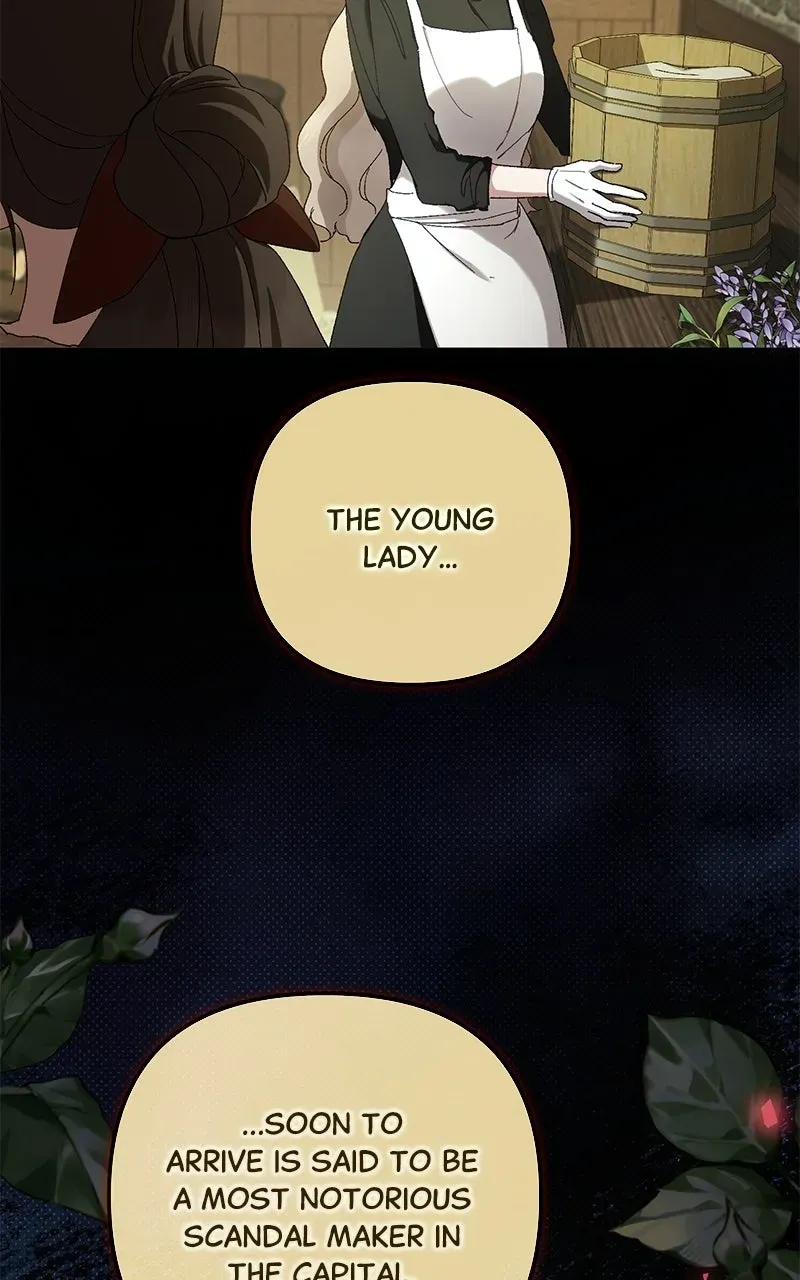 The Scandal MakerHas Returned Chapter 4 page 16 - 