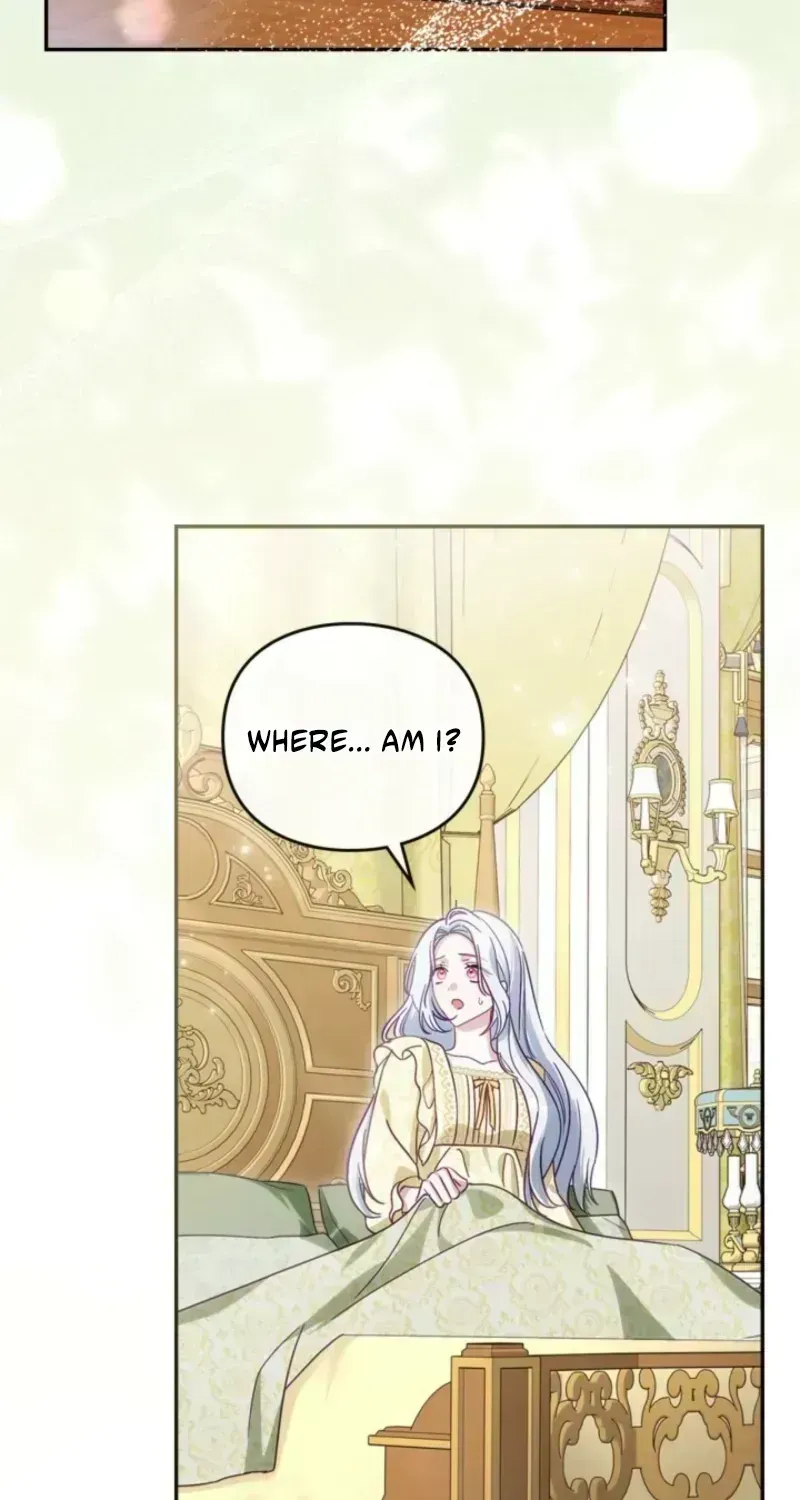 The Search for the Duchess