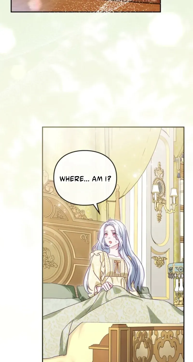 The Search for the Duchess