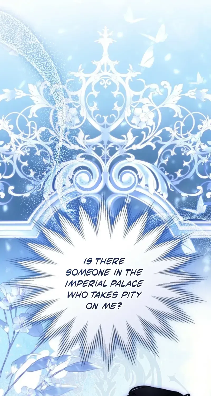 The Search for the Duchess