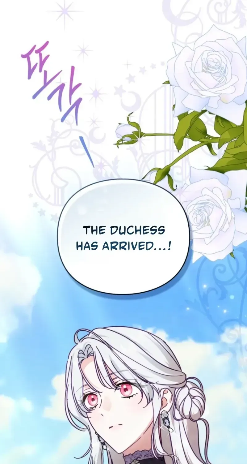 The Search for the Duchess