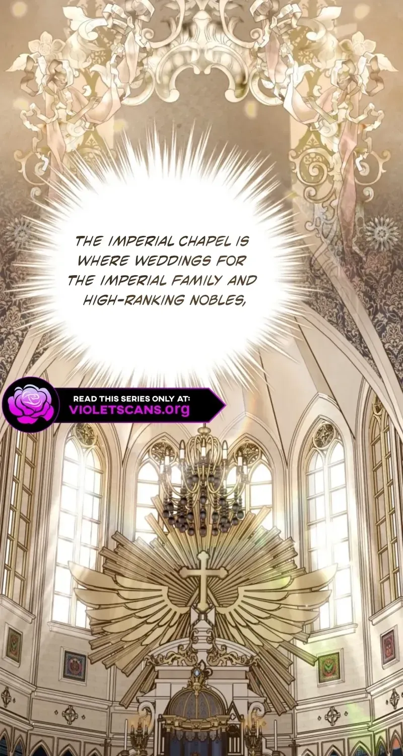 The Search for the Duchess