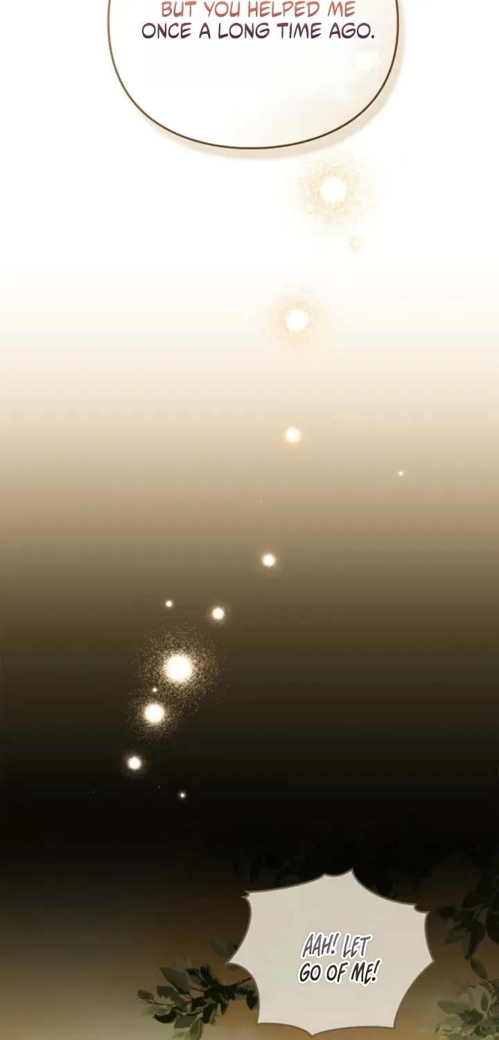The Search for the Duchess