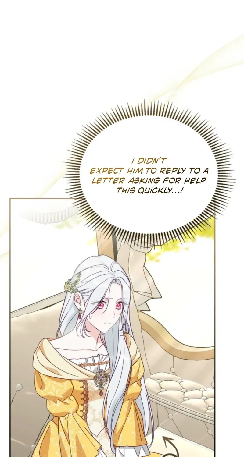 The Search for the Duchess