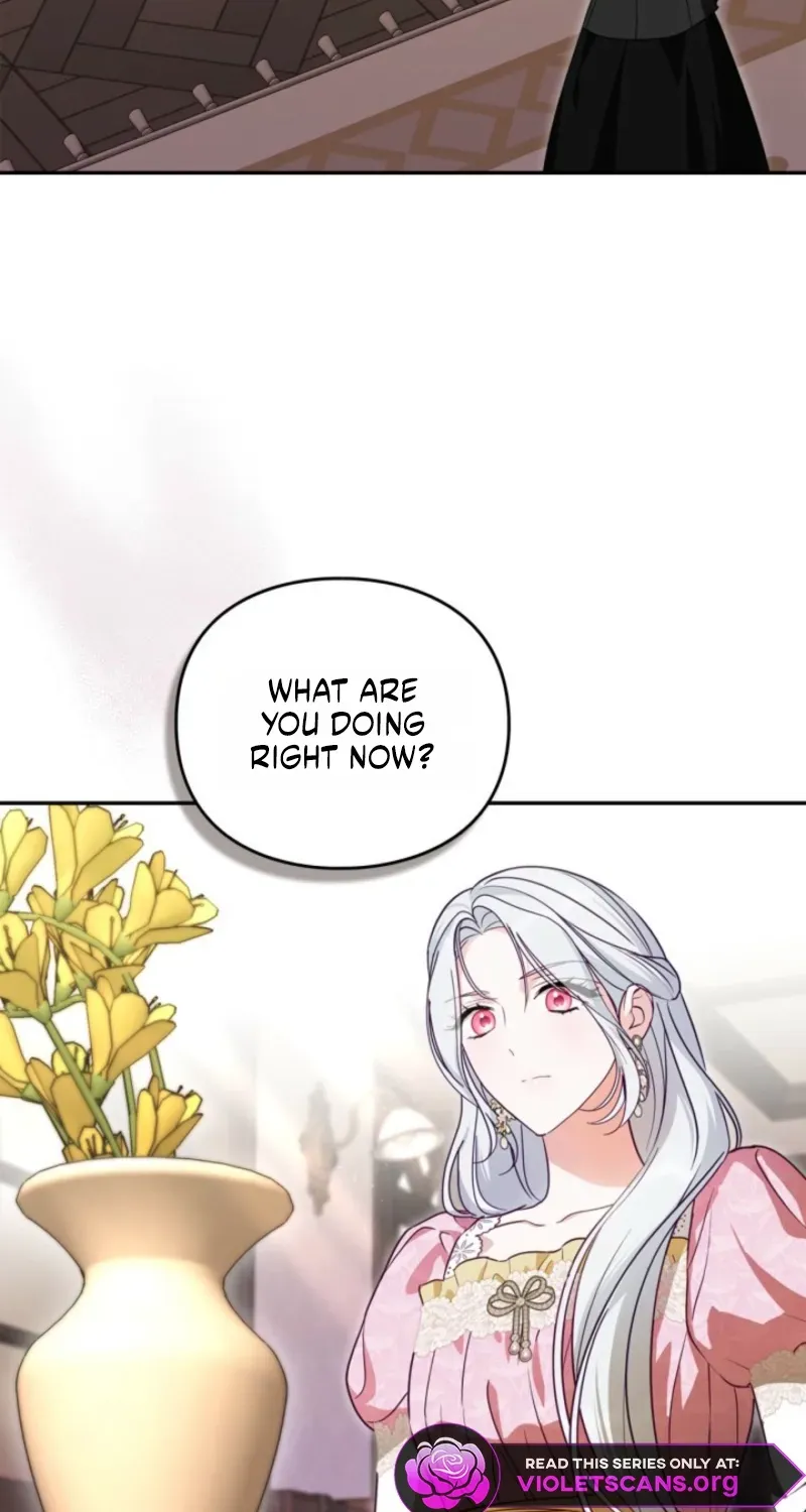 The Search for the Duchess