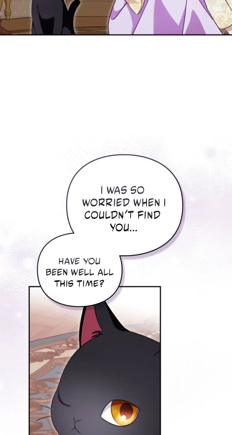 The Search for the Duchess