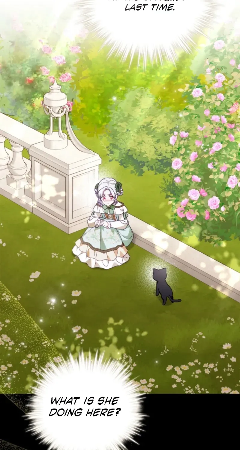 The Search for the Duchess