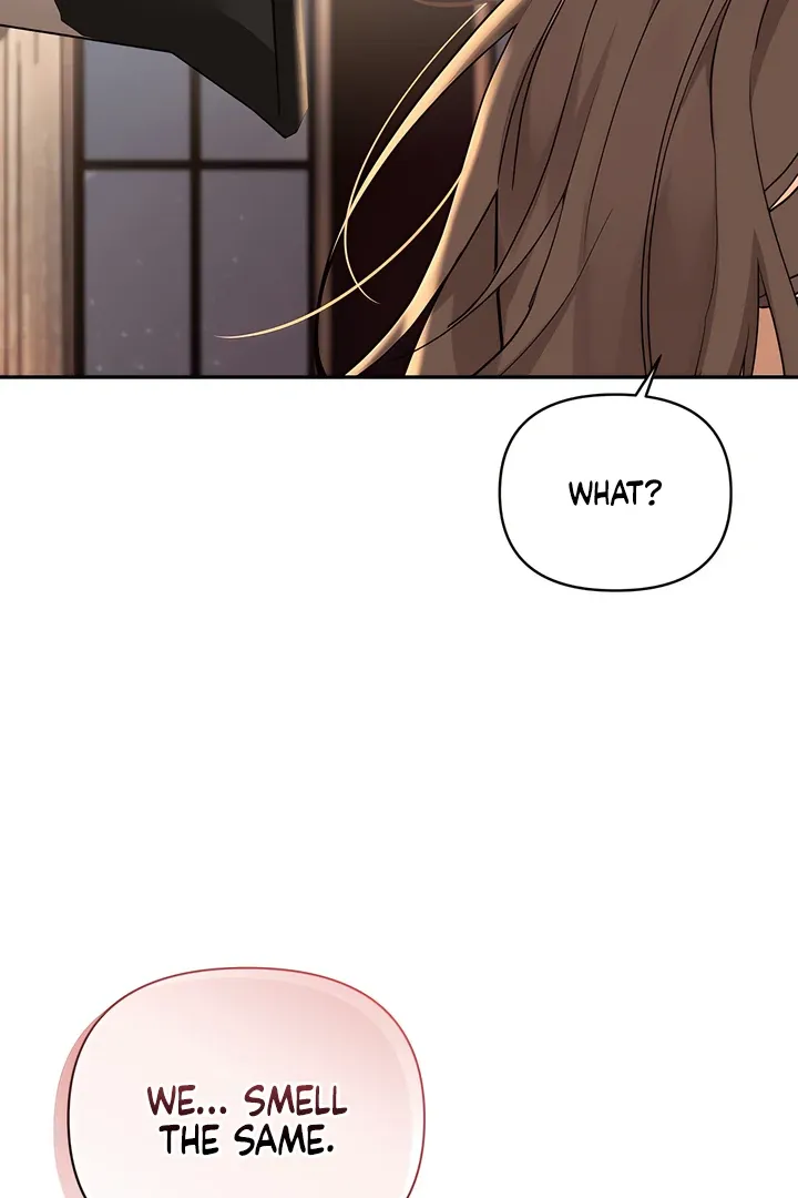 The Seasons of you Chapter 27 page 15 - 