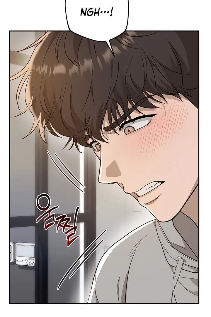 The Seasons of you Chapter 29 page 104 - 