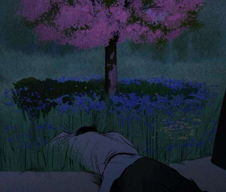 The Secret Garden Chapter 3 page 215 - 