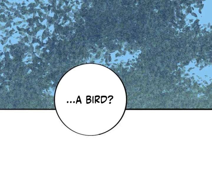 The Secret Garden Chapter 5 page 164 - 