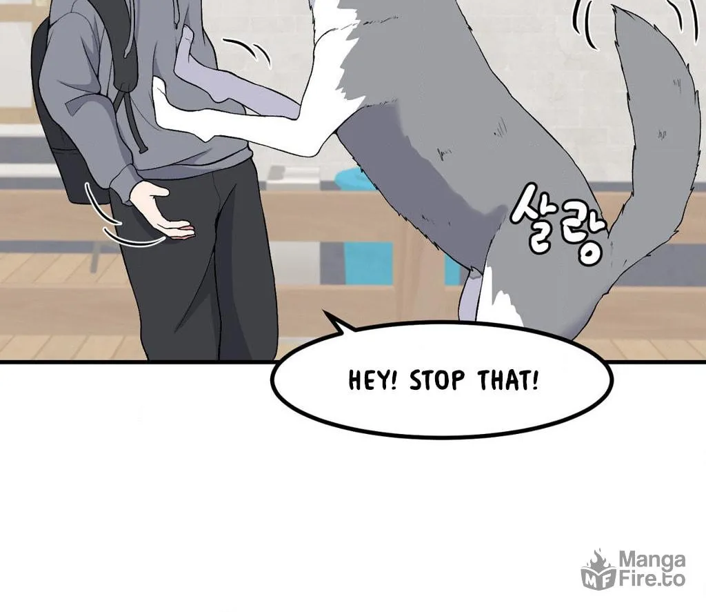 The Secret of the Partner Next to You Chapter 81 page 60 - 