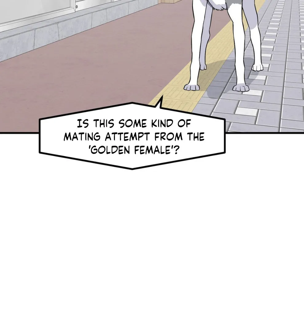 The Secret of the Partner Next to You Chapter 84 page 34 - 