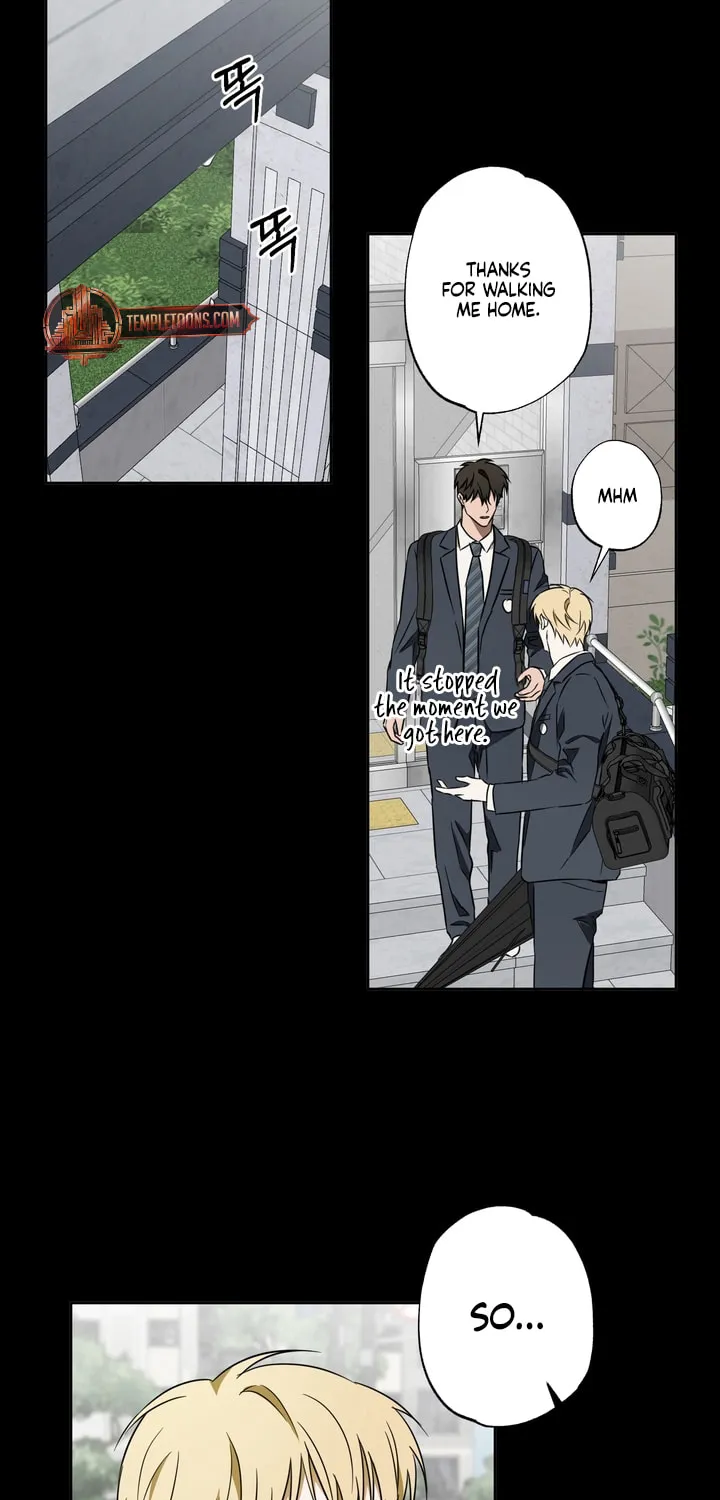 The Secret to Winning Over Unrequited Love Chapter 17 page 14 - 