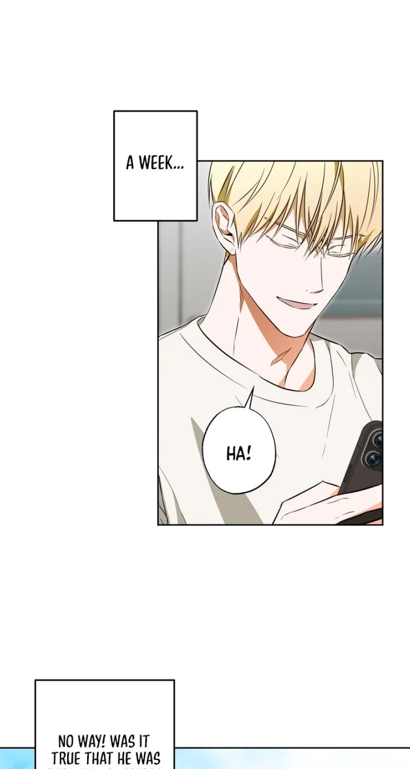 The Secret to Winning Over Unrequited Love Chapter 20 page 56 - 