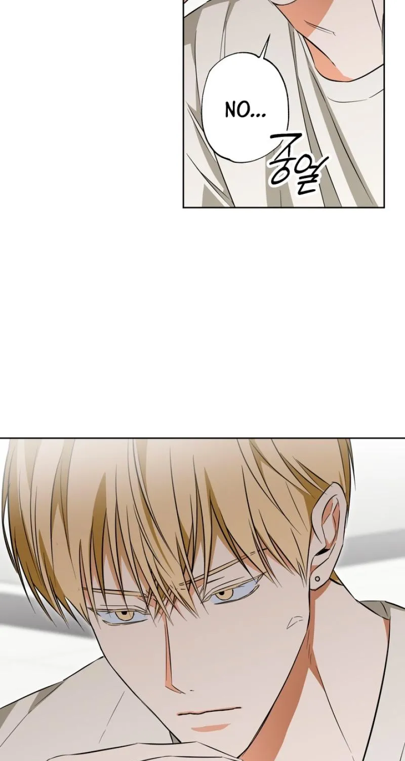 The Secret to Winning Over Unrequited Love Chapter 20 page 60 - 