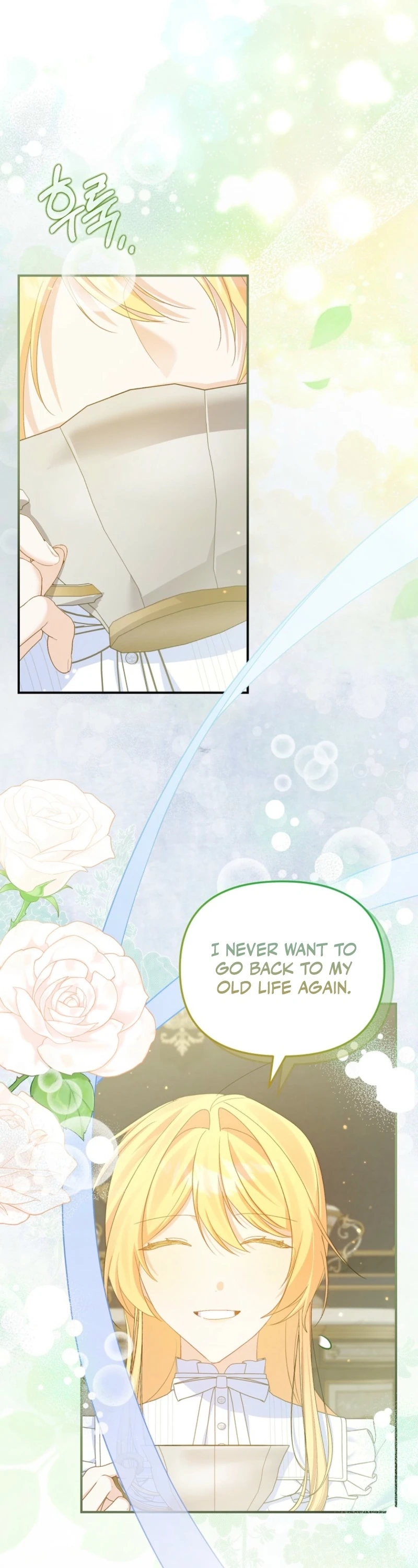 The Secretary of My Ex-Favorite Character Chapter 28 page 27 - 