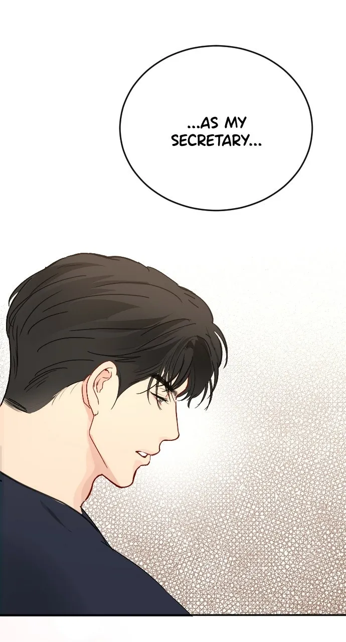 The Secretary’s Secret Chapter 38 page 43 - 