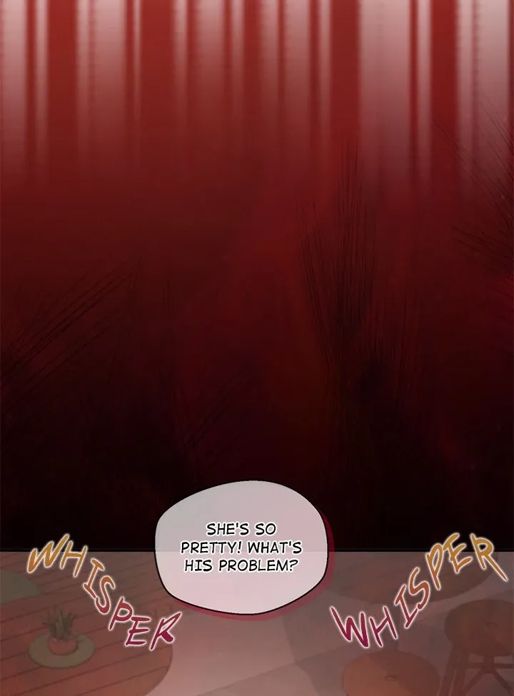 The Seed of Destiny Chapter 14 page 24 - 