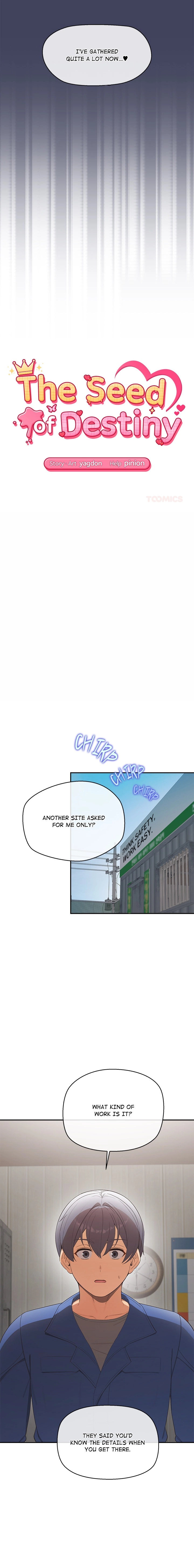 The Seed of Destiny Chapter 22 page 3 - 