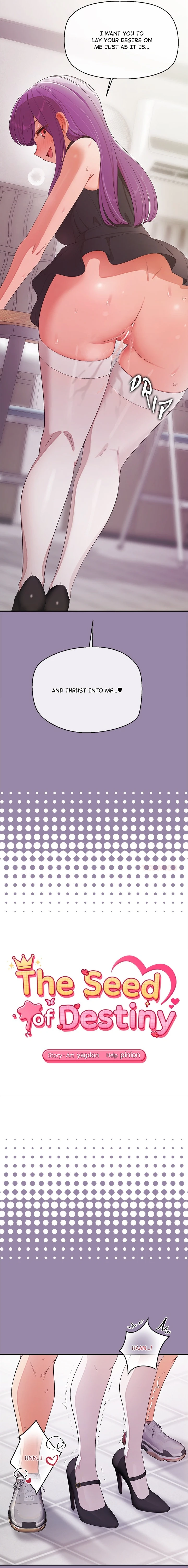 The Seed of Destiny Chapter 23 page 2 - 