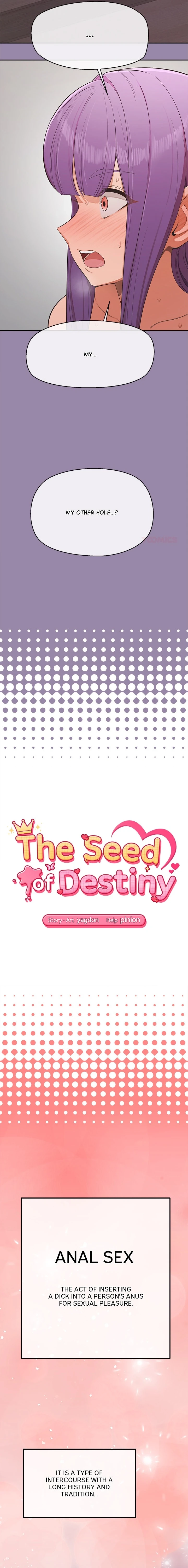 The Seed of Destiny Chapter 24 page 2 - 