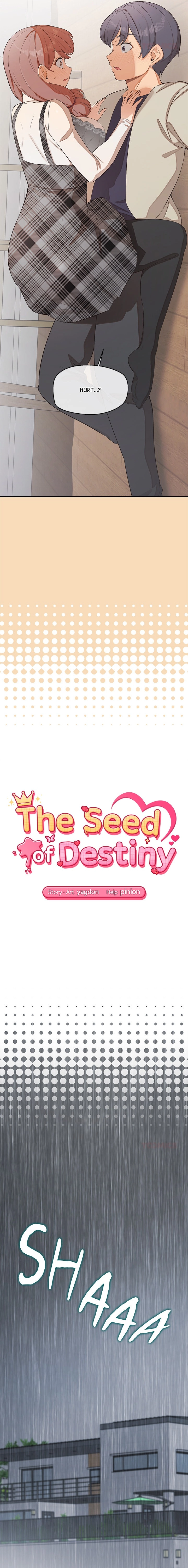 The Seed of Destiny Chapter 26 page 2 - 