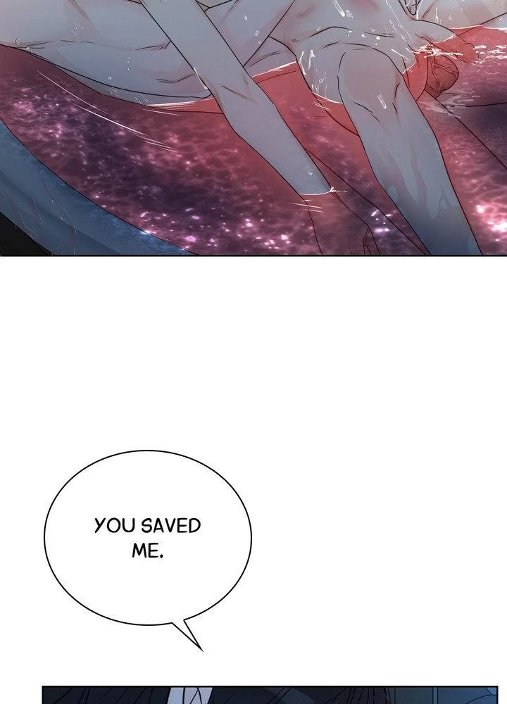 The Serpent