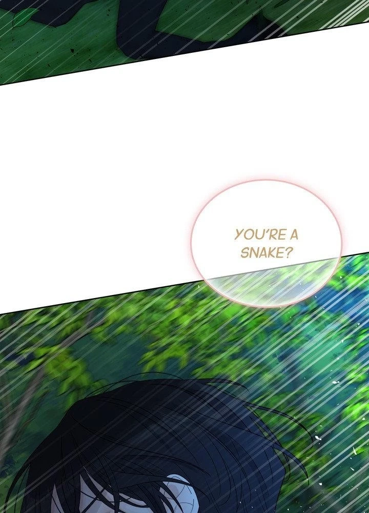 The Serpent