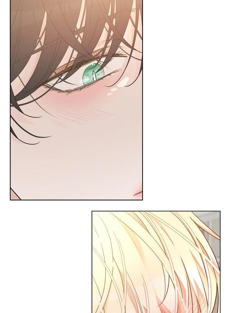 The Serpent