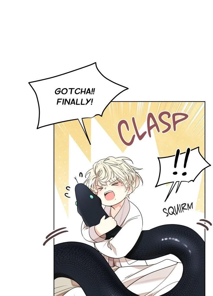 The Serpent