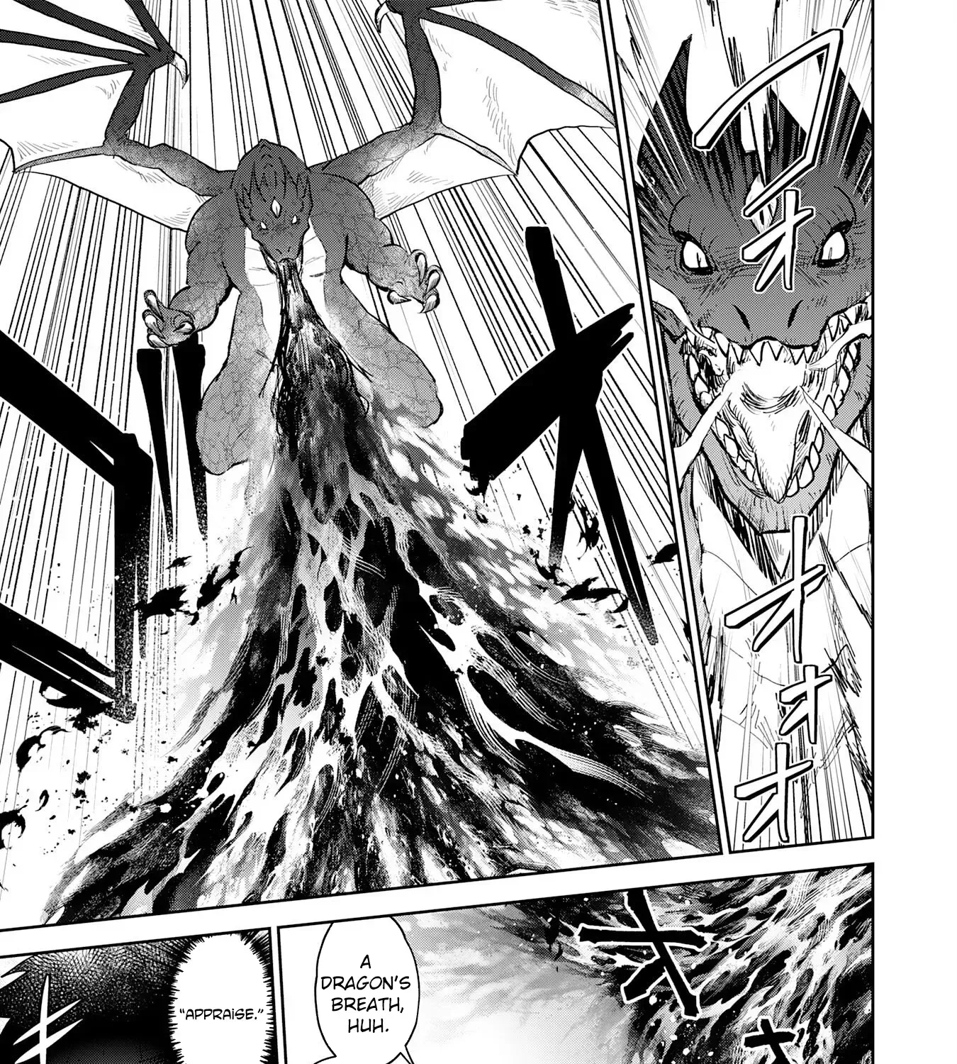 The Shadow Hero Who Fulfilled His Duty Will Live Freely in the Frontier Chapter 11 page 25 - 