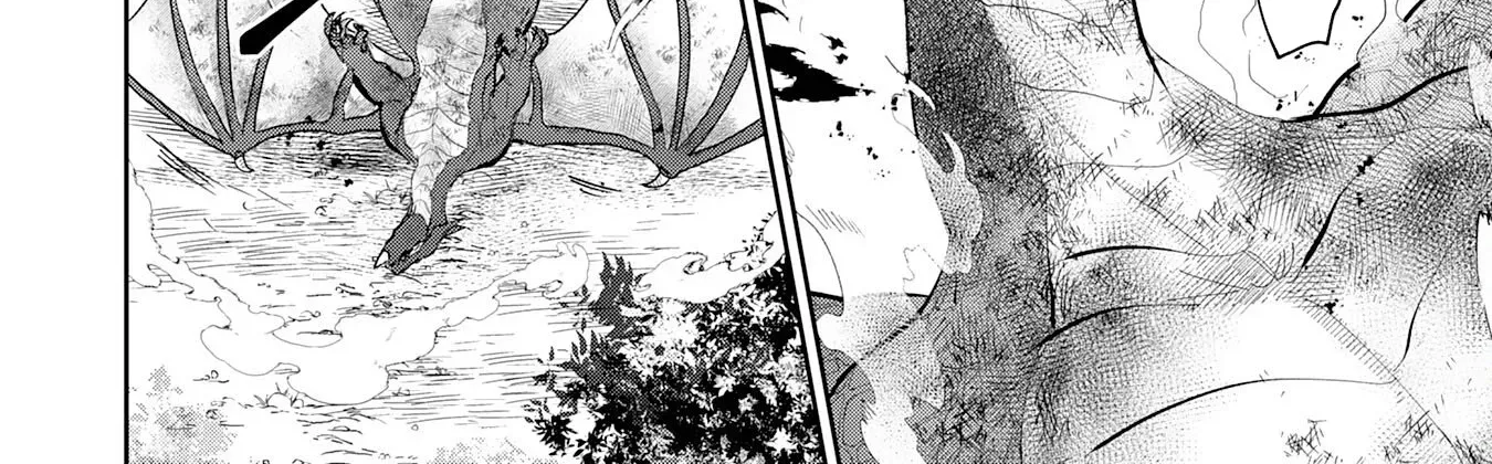The Shadow Hero Who Fulfilled His Duty Will Live Freely in the Frontier Chapter 11 page 32 - 