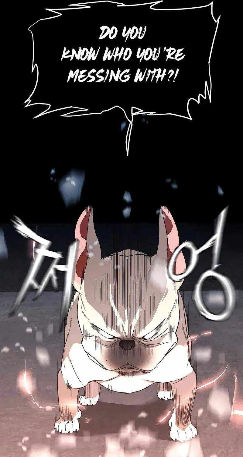 The Shaman