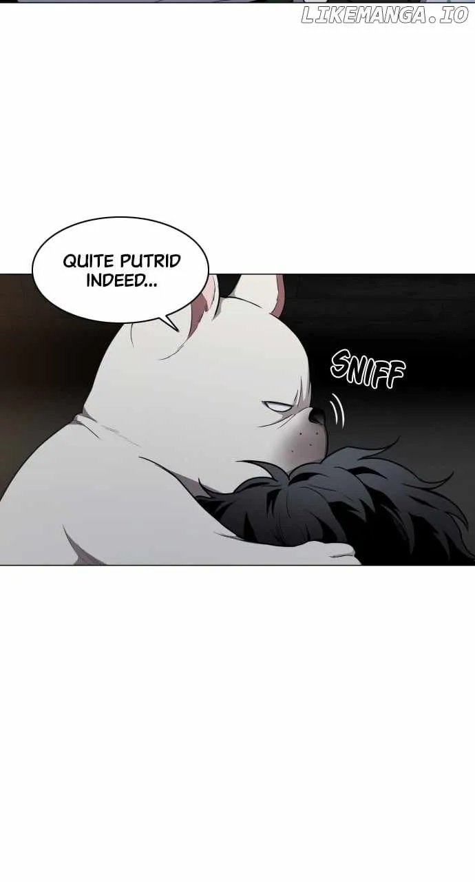 The Shaman