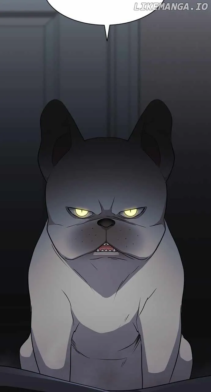 The Shaman
