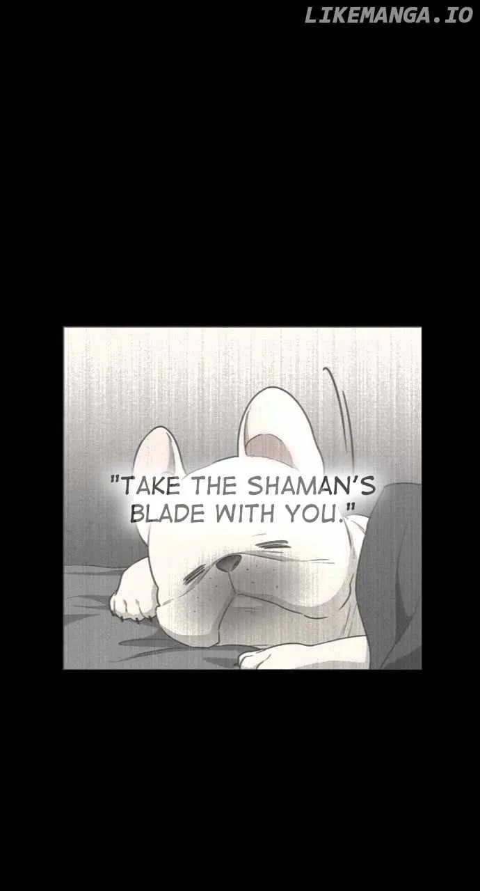 The Shaman