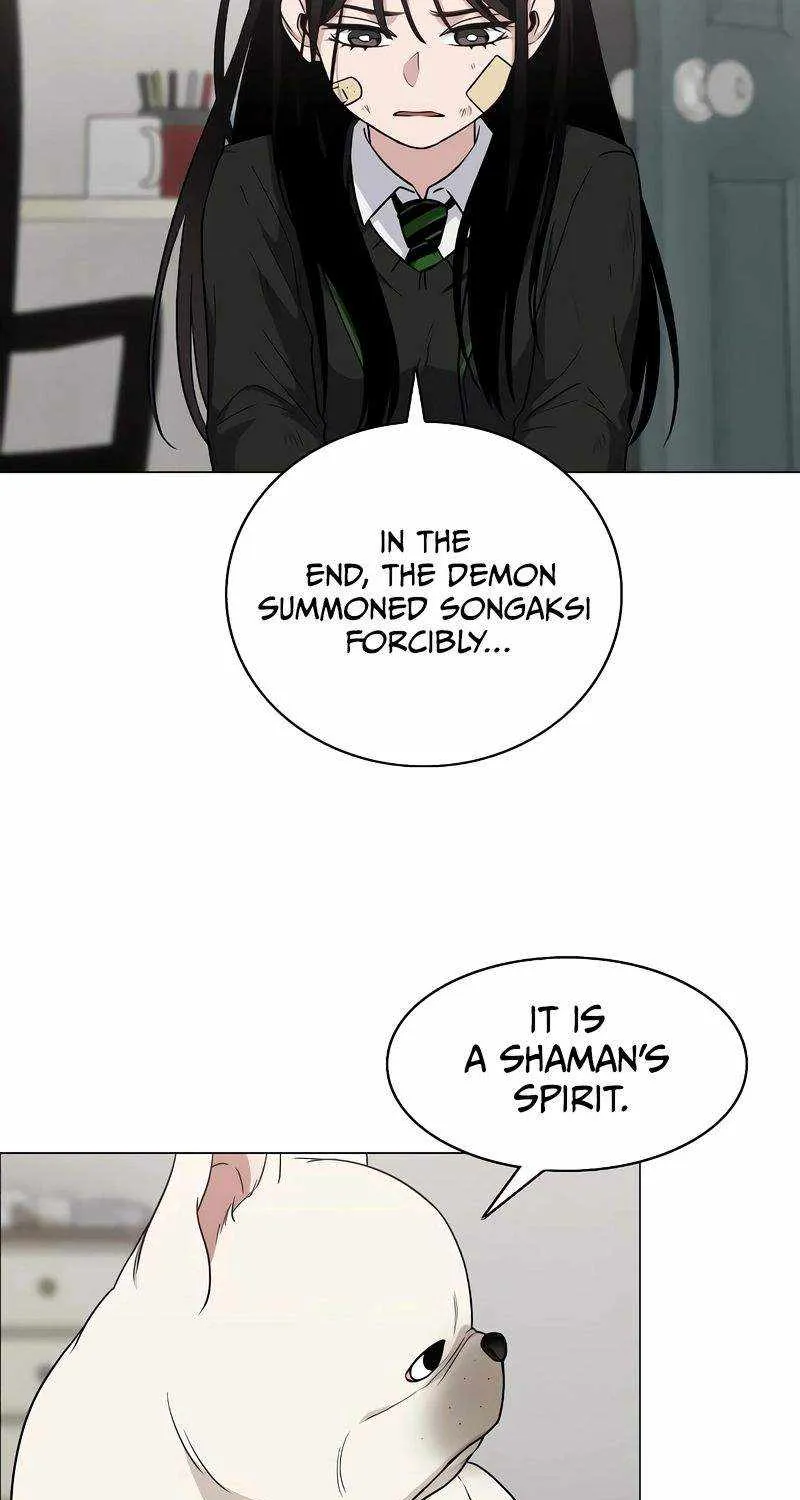 The Shaman
