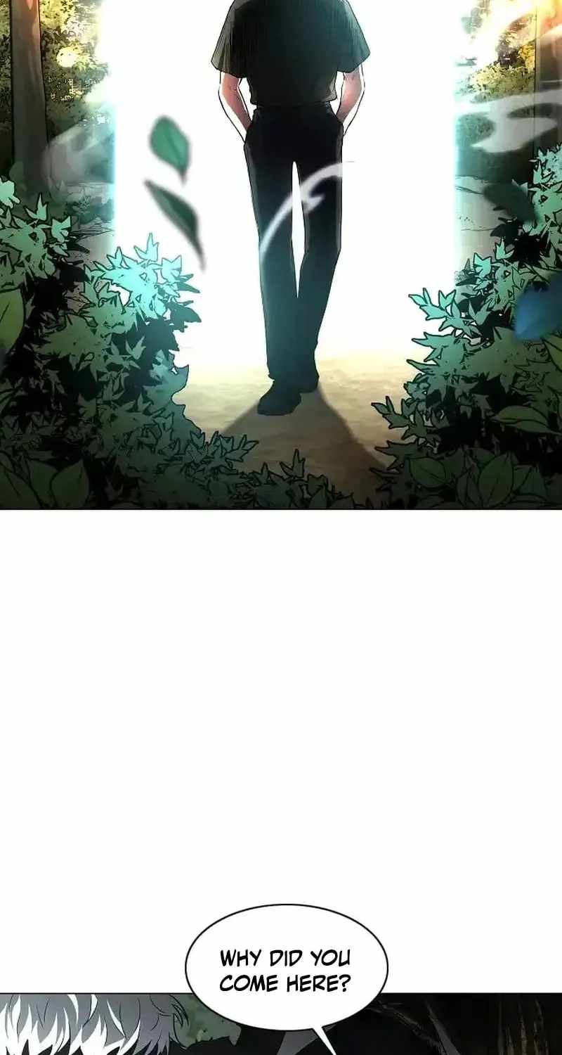 The Shaman