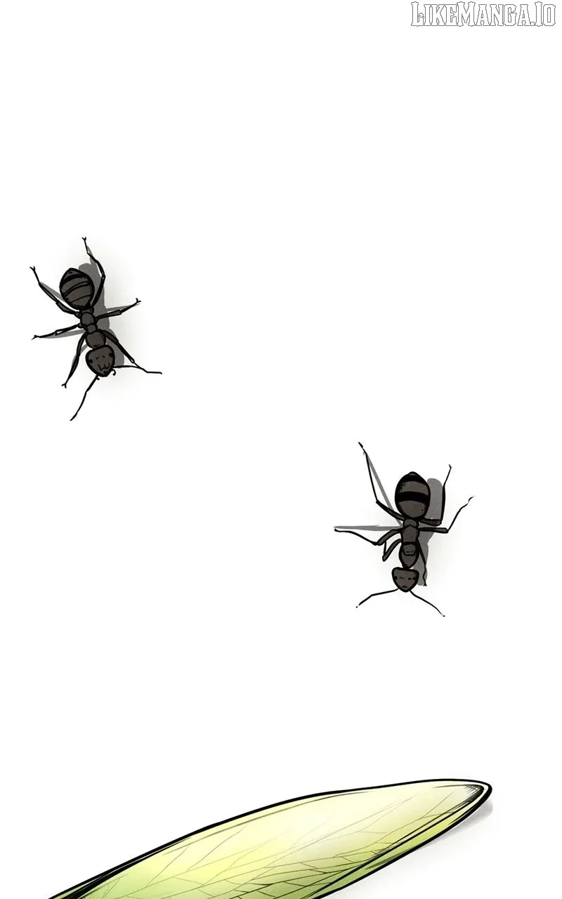 The Shell (Dono) Chapter 1 page 5 - 