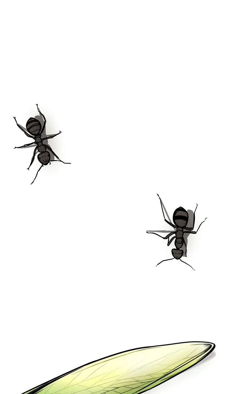 The Shell Chapter 1 page 5 - 