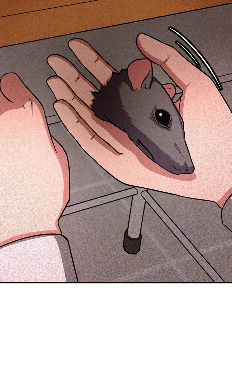 The Shell Chapter 11 page 94 - 